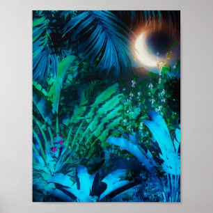 Poster Lua Noite Tropical Selva Deixa Azul