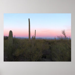 Poster Lua Rosa sobre Saguaro ao Nascer do Sol