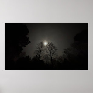 Poster Lua sobre Árvores, cartaz