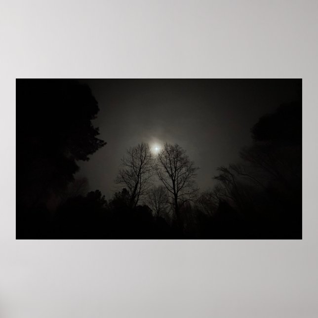 Poster Lua sobre Árvores, cartaz (Frente)