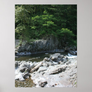 Poster Lucia cai retrato