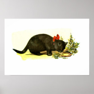 Pôster Lucky black cat animal art