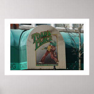 Poster Lugar dos sapos