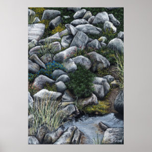 Pôster Lugar secreto na floresta