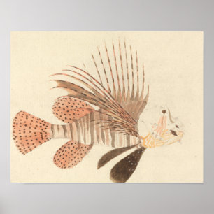 Poster Luigi Balugani - Lionfish