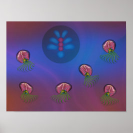 Poster Lulas espaciais e forma humana