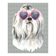 Lulu, Lhasa