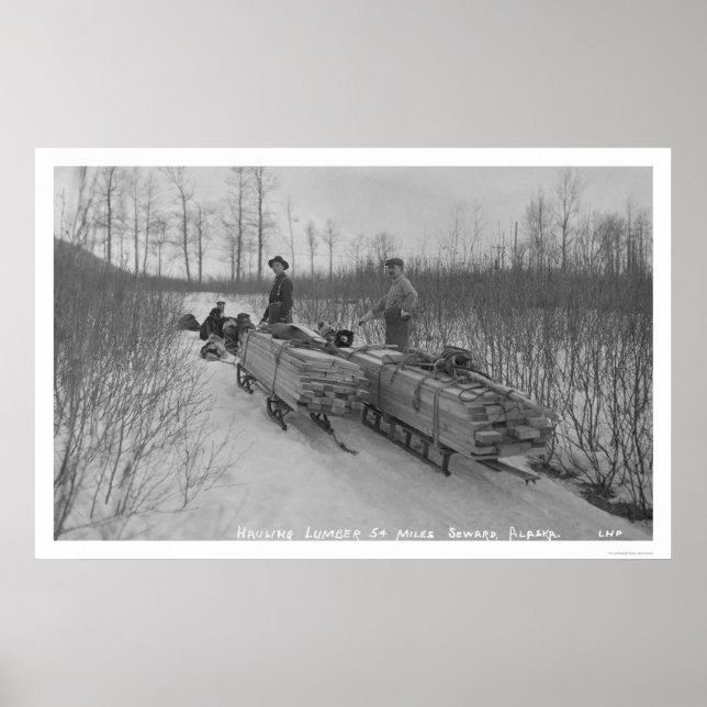 Poster Lumber Dog Seward, Alasca 1917 (Frente)