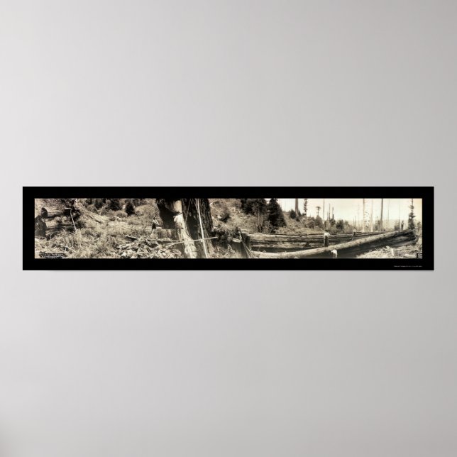 Poster Lumberjack Redwoods Foto 1915 (Frente)