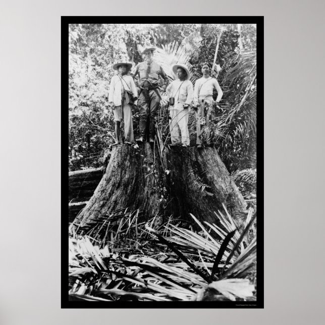 Pôster Lumberjacks na região de Mindoro, Filipinas, 1906 (Frente)