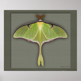 Pôster Luna Print -28x24 -other sizes available