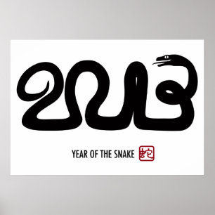 Poster lunar chinês do ano 2013 novo