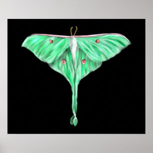Poster Lunar Verde Ilustrado