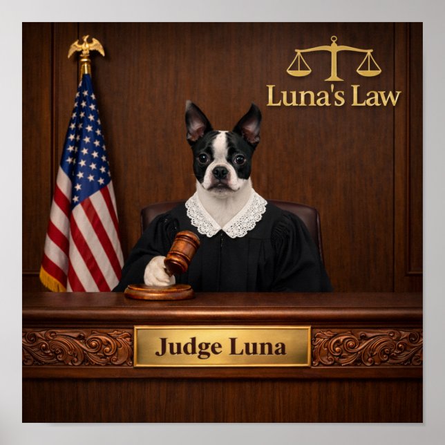 Poster "Luna's Law" (Frente)