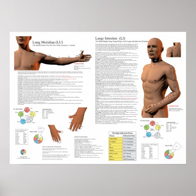 Poster Lung Meridian Acupuncture Points (Frente)