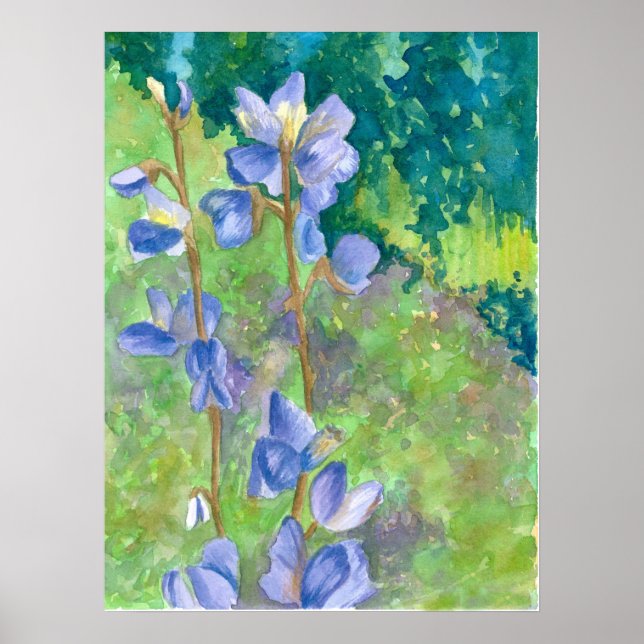 Pôster Lupine Púrpura Flores Selvagens Paisagem Aquarela (Frente)