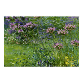 Pôster Lush e Vibrante Representação das Flores de Agapan