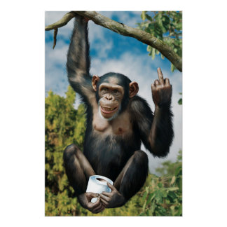 Pôster Lustiges WC Poster 