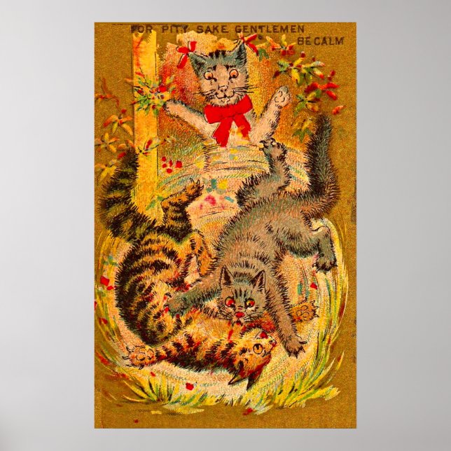 Poster luta de gatos (Frente)