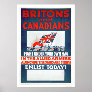 Pôster Luta Sob Sua Própria Bandeira (US02106)