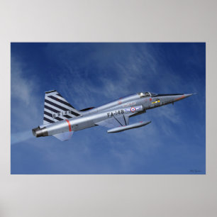 Pôster Lutador da liberdade F-5