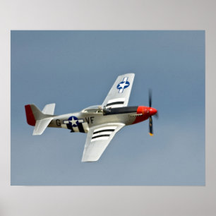 Pôster Lutador do mustang de P-51D com voo das marcaçõe