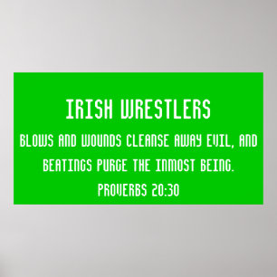 Pôster Lutadores irlandeses