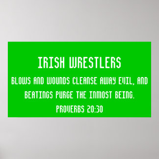 Pôster Lutadores irlandeses