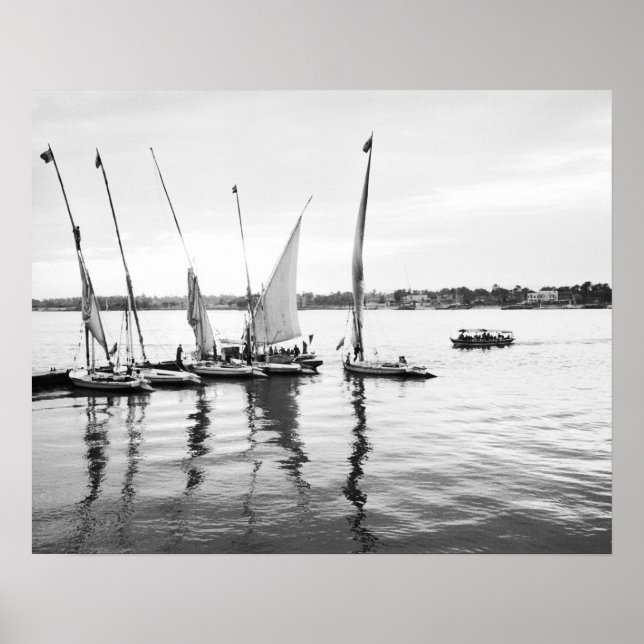 Pôster Luxor Egypt, Feluccas no Nilo (Frente)