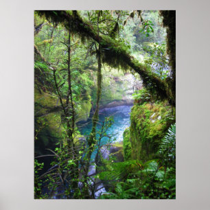 Poster luxúria do rio da selva