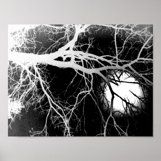 Pôster Luz (Frente)