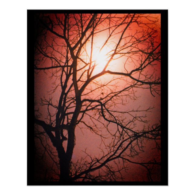 Pôster Luz (Frente)