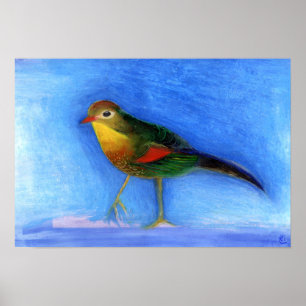 Poster Luz 2012 do rouxinol