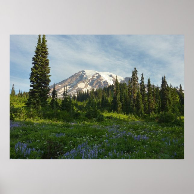 Poster Luz da Manhã no Monte Rainier (Frente)