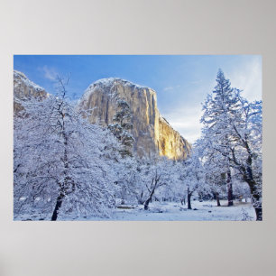 Pôster Luz do nascer do sol atinge El Capitan através da 