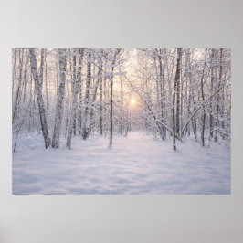 Poster Luz_dourada_de_inverno