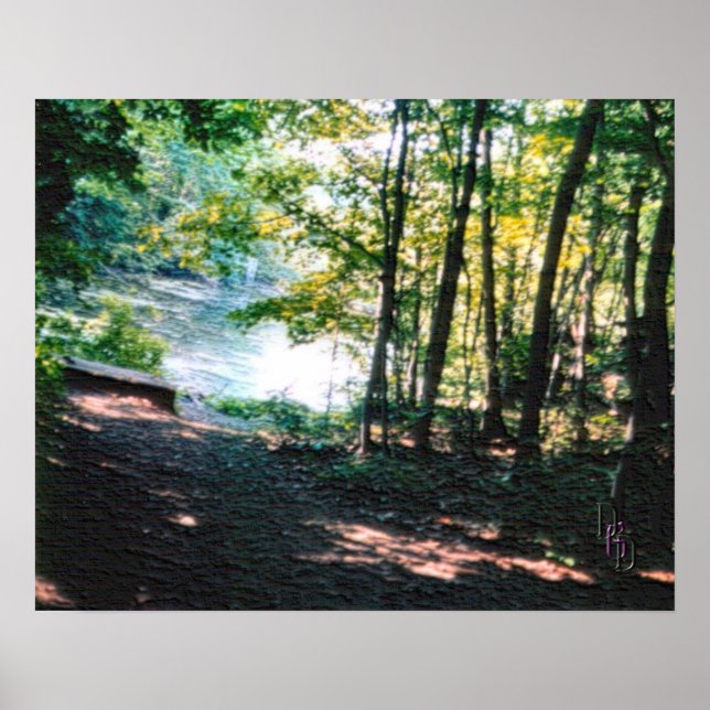 Poster Luz e Sombras 2 (Frente)