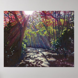 Pôster Luz espalhada 2013