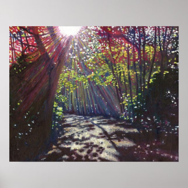 Pôster Luz espalhada 2013 (Frente)