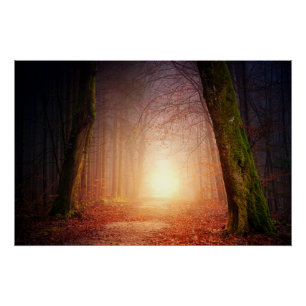Pôster Luz no Fim da Floresta