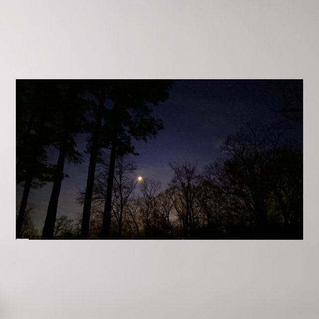 Poster Luz Noturna, (Frente)