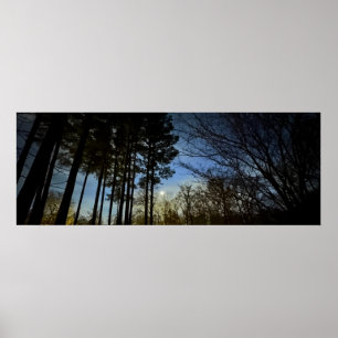 Poster Luz Noturna,