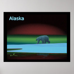 Poster Luz Polar Urso