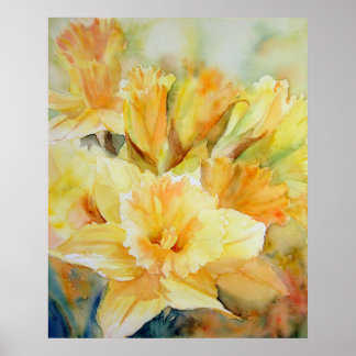 Pôster Luz solar destilada