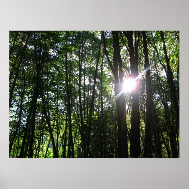 Pôster Luz Verde... (Frente)