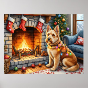 Poster Luzes de Natal da Lareira dos Bouviers des Flandre