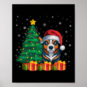 Poster Luzes de Natal de Santa Hat, Gata Australiana