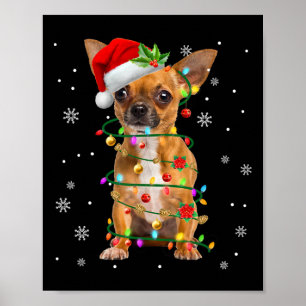 Poster Luzes de Natal do Papai Noel Chihuahua Amante de C