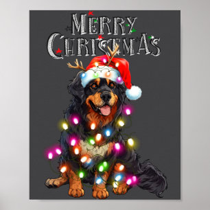 Poster Luzes de Natal Fofo do Cão de Montanha Bernês Xmas