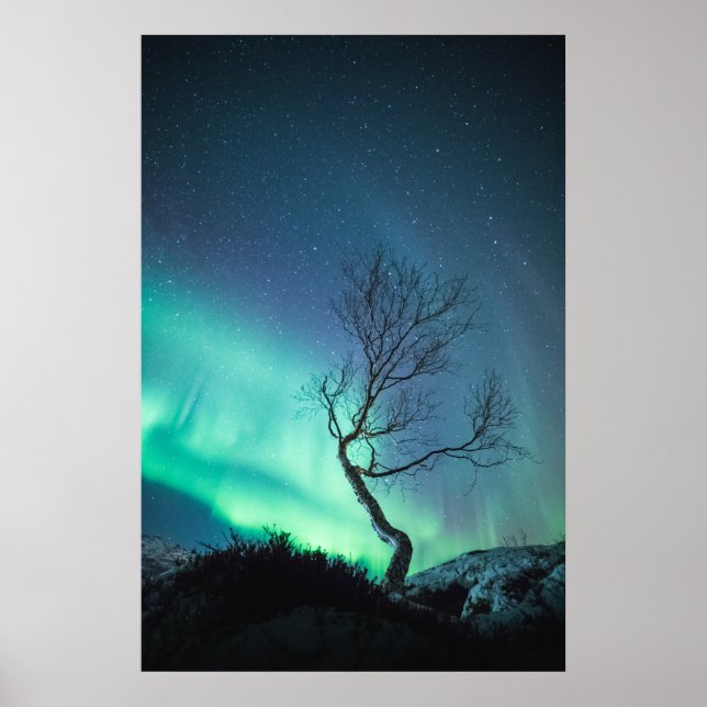 Poster Luzes do norte (Frente)